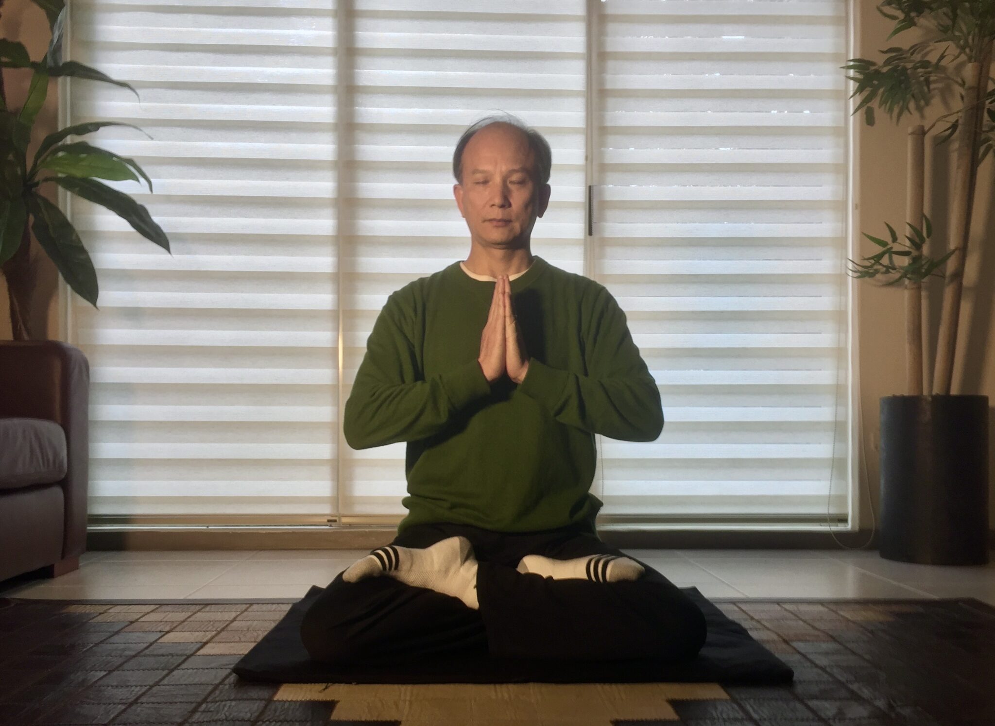 Qigong Master Chunyi Lin Meditating