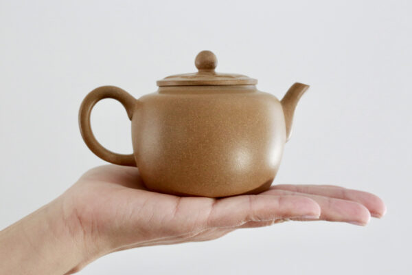 Zisha Large Duanni Clay Teapot with Design on top of hand