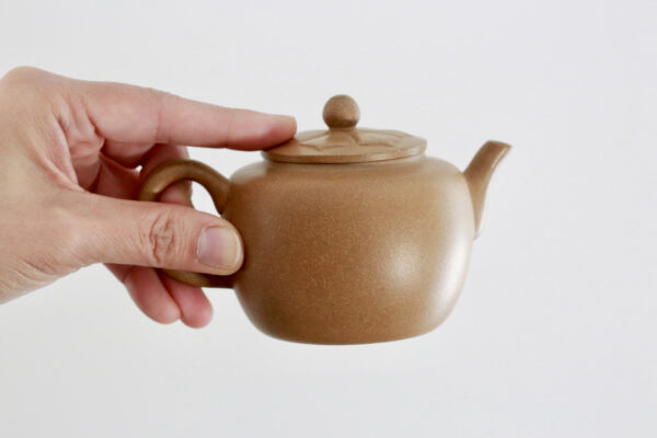 Hand on top of Zisha Large Duanni Clay Teapot with Design